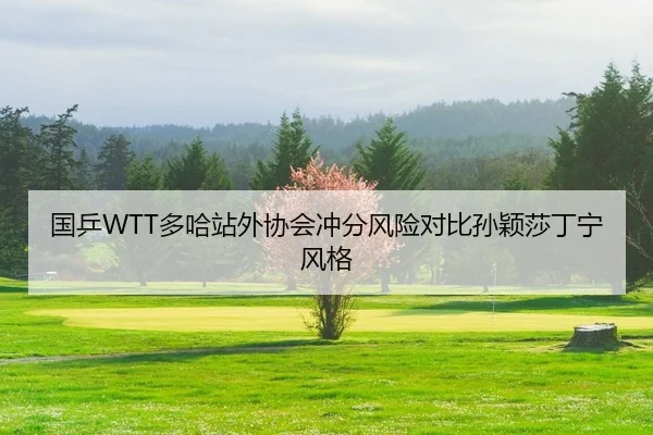 国乒WTT多哈站外协会冲分风险对比孙颖莎丁宁风格